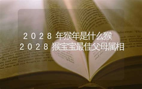 2028年是什么年